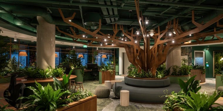 See inside Pinterest's quirky Dublin office, which has a pub and a workspace resembling a Celtic forest