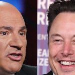 'Shark Tank' star Kevin O'Leary says he thinks Elon Musk is a 'modern day Bruce Wayne'