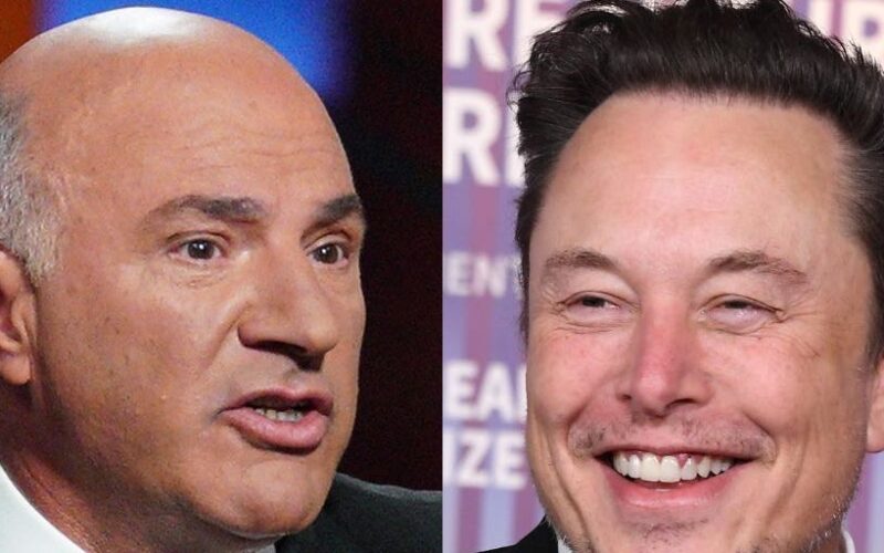 'Shark Tank' star Kevin O'Leary says he thinks Elon Musk is a 'modern day Bruce Wayne'