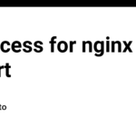 goaccess for nginx report