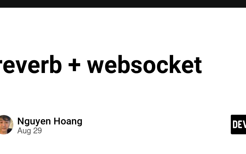 reverb + websocket