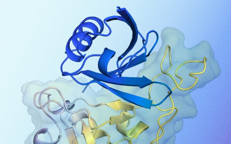 AlphaProteo generates novel proteins for biology and health research