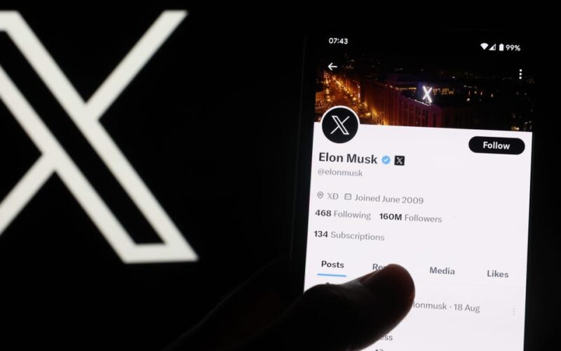 Elon Musk has to be picky about where he fights for free speech, corporate law  expert says