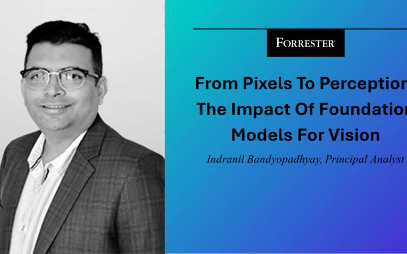 From Pixels To Perception: The Impact Of Foundation Models For Vision