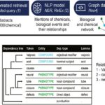 Frontiers | The application of natural language processing for the extraction of mechanistic information in toxicology