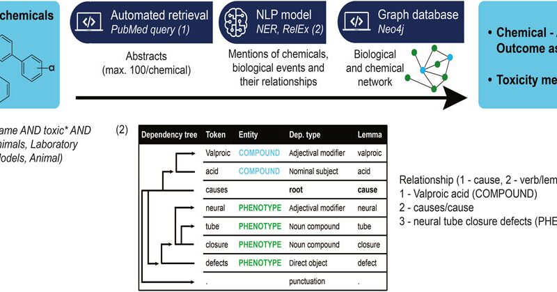 Frontiers | The application of natural language processing for the extraction of mechanistic information in toxicology