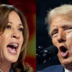 Kamala Harris says Trump 'disrespected sacred ground' just for a 'political stunt' at Arlington National Cemetery