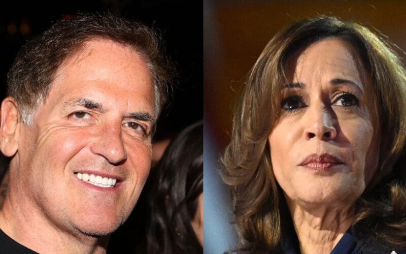 Mark Cuban says Kamala Harris is the only candidate in 'Founder Mode'