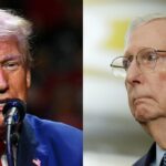 Mitch McConnell goes after Trump's trade policy: 'I'm not a tariff fan'