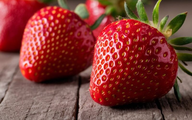 OpenAI’s Strawberry program is reportedly capable of reasoning. It might be able to deceive humans