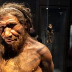 Scientists discovered a unique line of Neanderthals and it's helping solve the mystery of humanity's last great extinction