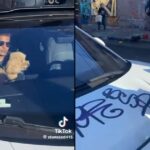 Self-Driving Taxi Passenger Clutches Dog as Hoodlums Tag Graffiti on Vehicle