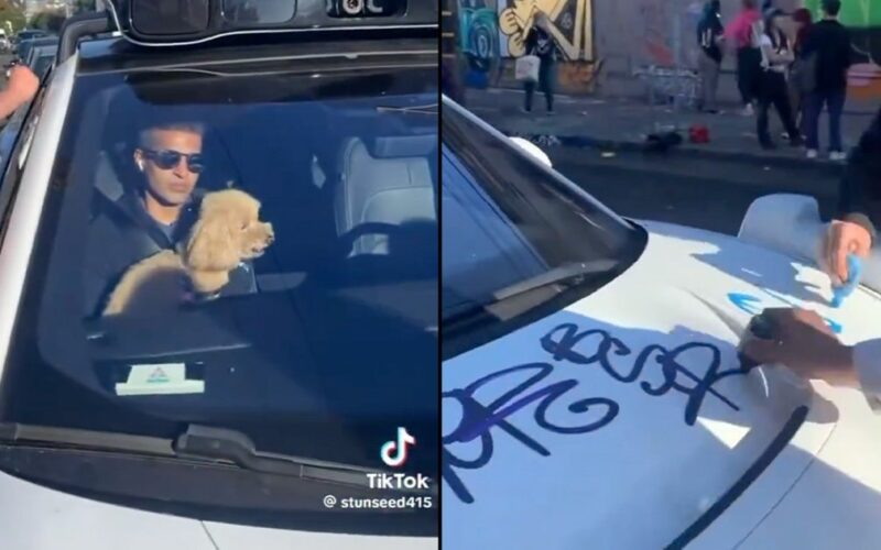 Self-Driving Taxi Passenger Clutches Dog as Hoodlums Tag Graffiti on Vehicle