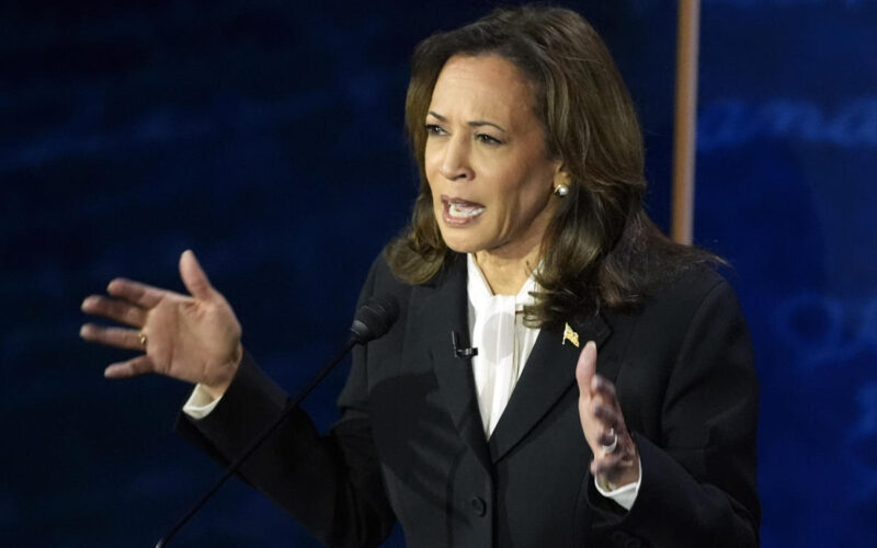 The ‘audio earrings’ Kamala Harris didn’t wear during the debate barely even exist