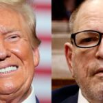 Trump will mimic Harvey Weinstein's successful appeal to fight his own sexual assault verdict Friday. It won't be as easy.