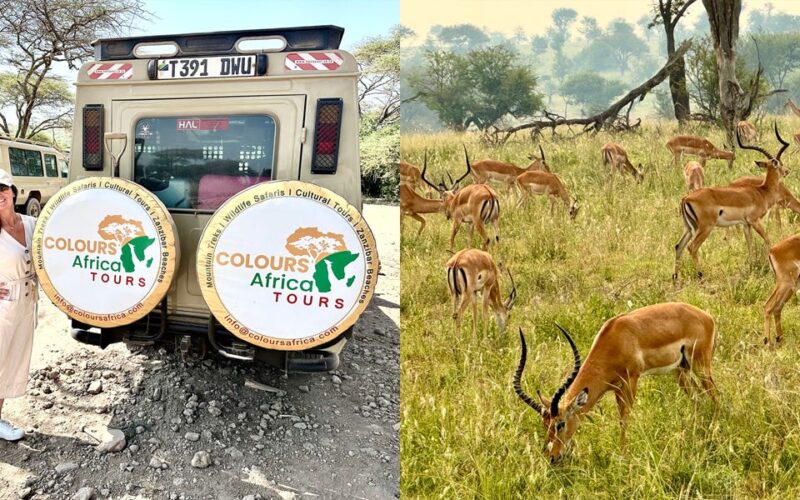 We went on an African safari for the first time. Our trip would've been better if we'd known these 5 things before we left.