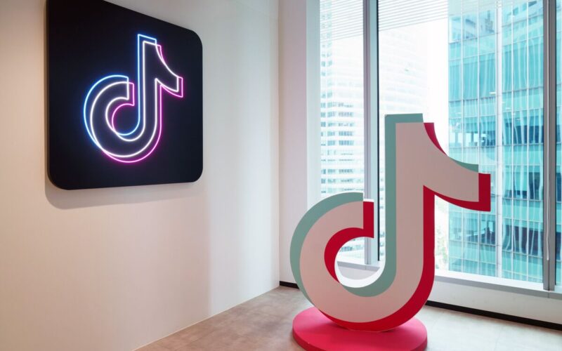 What Happens If TikTok Loses Its Fight Over Law Banning It in the US