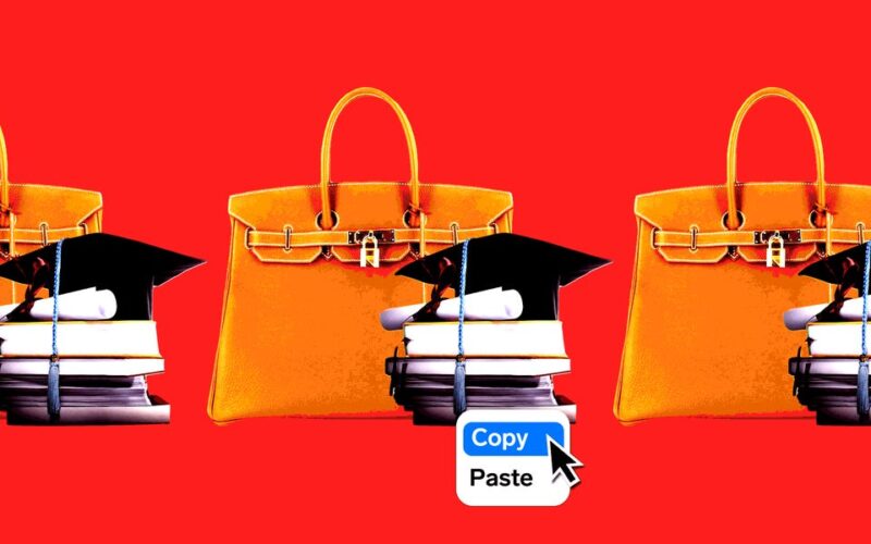 Young Chinese are looking for dupes and cheaper substitutes for everything from Hermès to travel