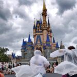 Disney World is shutting down as Florida braces for Hurricane Milton