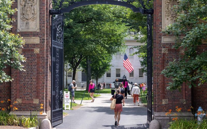 Harvard donations dropped nearly 15% amid wealthy alums' vows to cut off support