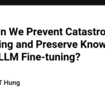 How Can We Prevent Catastrophic Forgetting and Preserve Knowledge During LLM Fine-tuning?