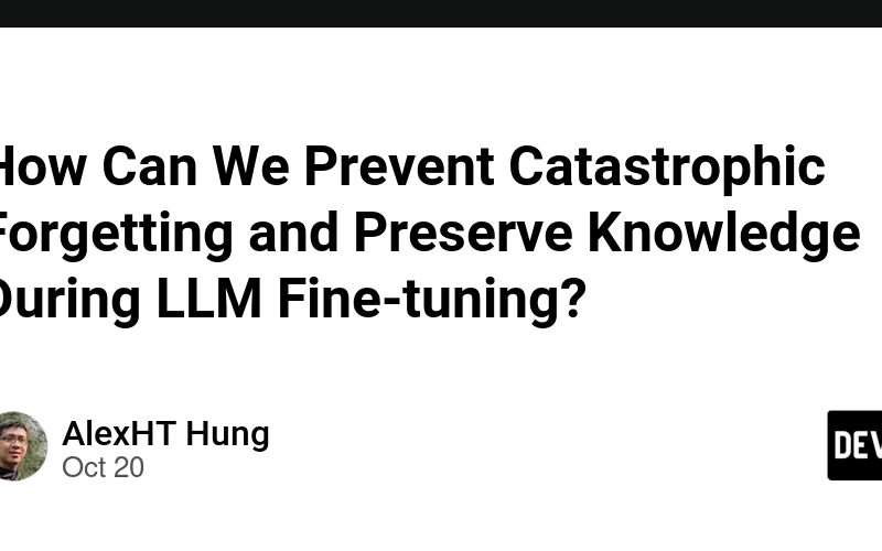 How Can We Prevent Catastrophic Forgetting and Preserve Knowledge During LLM Fine-tuning?