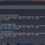 How to make your terminal looks Splendid