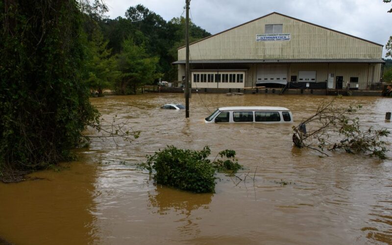 Hurricanes are taking the election by storm. Here's where Harris and Trump stand on natural disaster policies.