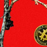 In the Kentucky Mountains, a Bitcoin Mining Dream Becomes the Stuff of Nightmares