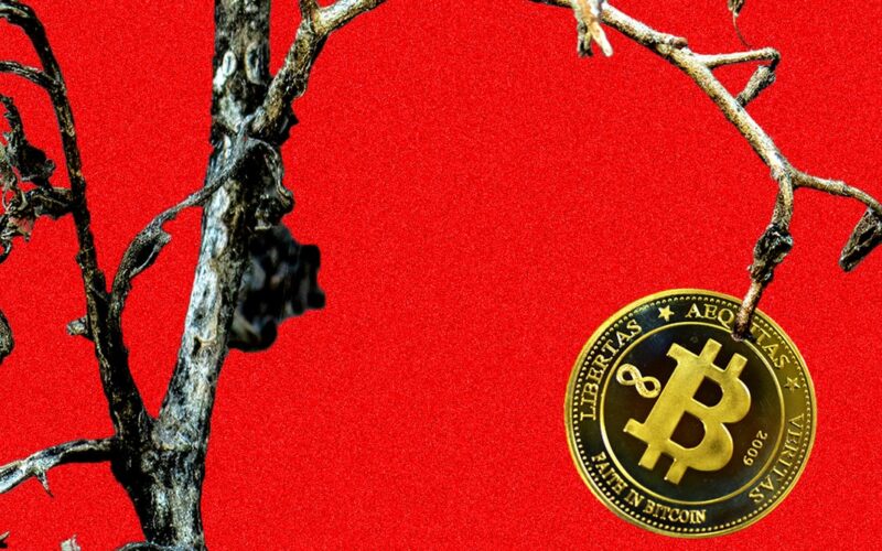 In the Kentucky Mountains, a Bitcoin Mining Dream Becomes the Stuff of Nightmares