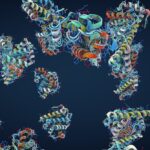 Machine learning cracked the protein-folding problem and won the 2024 Nobel Prize in chemistry