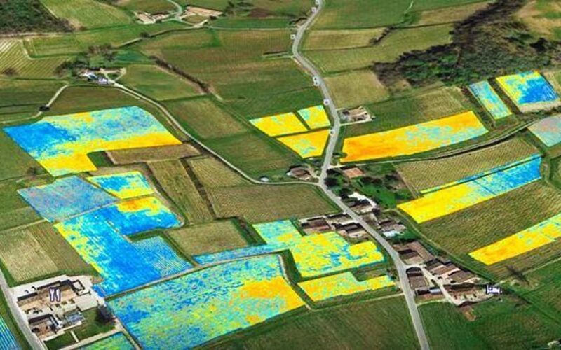 Peran Sistem Informasi Geografis (SIG) dalam Optimalisasi Pertanian Berkelanjutan dan Ketahanan Pangan.