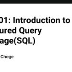 SQL 101: Introduction to Structured Query Language(SQL)