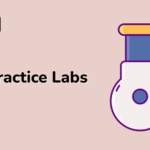 Unleash Your Shell Scripting Prowess with the 'Shell Practice Labs' Course