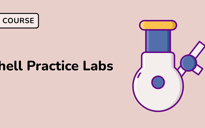 Unleash Your Shell Scripting Prowess with the ‘Shell Practice Labs’ Course