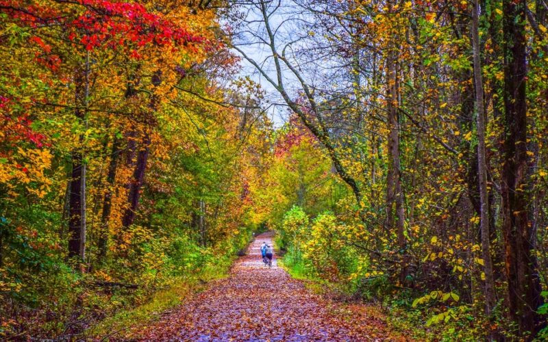 What fall looks like in every state