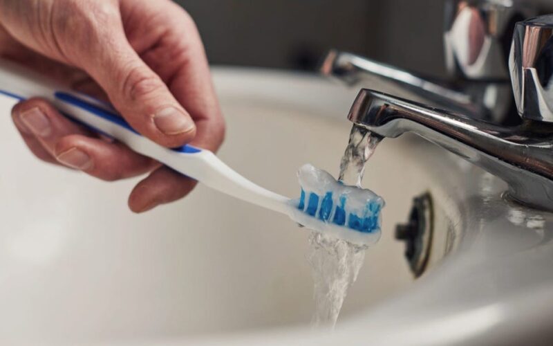 Your toothbrush is home to hundreds of new viruses. They could be the future of biotech.