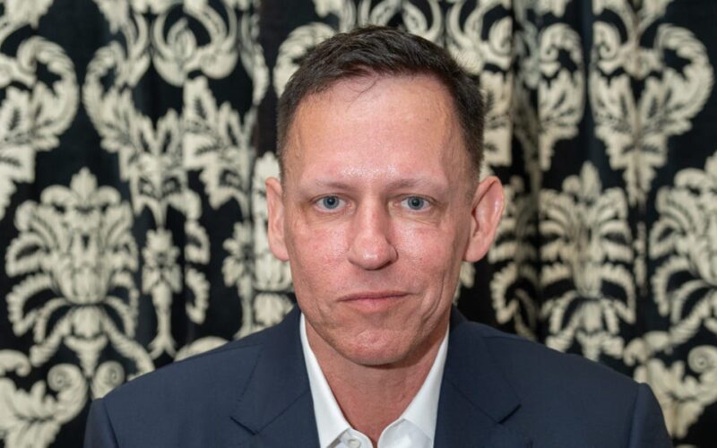 A guide to tech billionaire Peter Thiel's Washington web