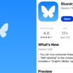 Bluesky, a competitor to Elon Musk's X, appears to be down after shooting to the top of the App Store