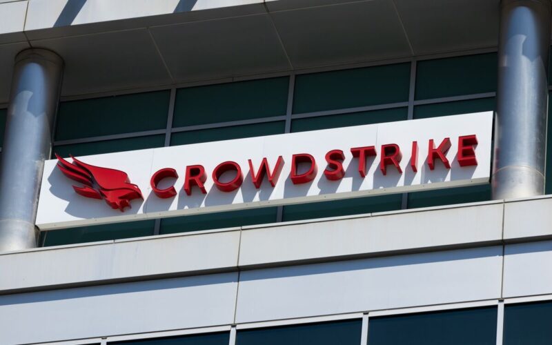 CrowdStrike Falls After Disappointing Earnings Outlook