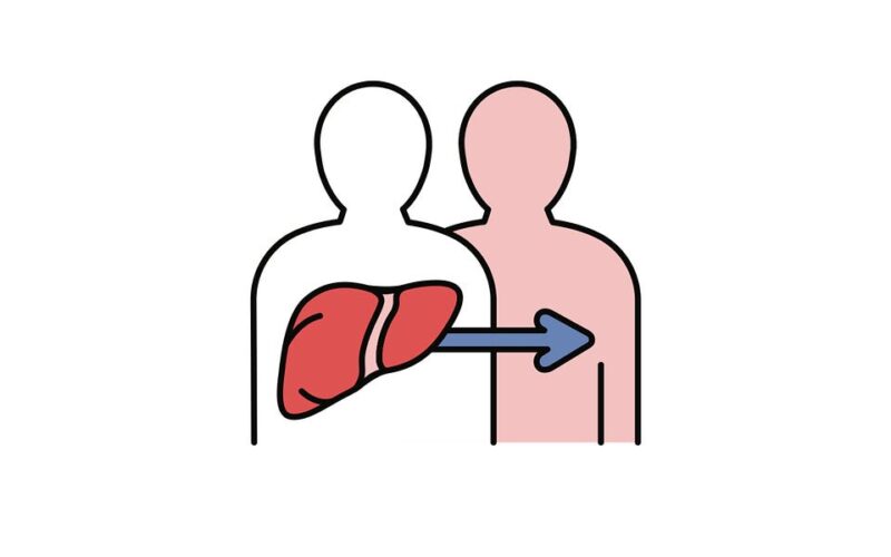 Does the UK’s liver transplant matching algorithm systematically exclude younger patients?