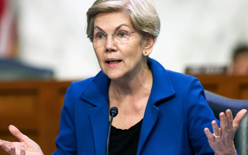 Elizabeth Warren Calls for Crackdown on Internet ‘Monopoly’ You've Never Heard of