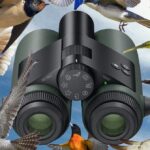 I Went Birding With the World’s First AI-Powered Binoculars