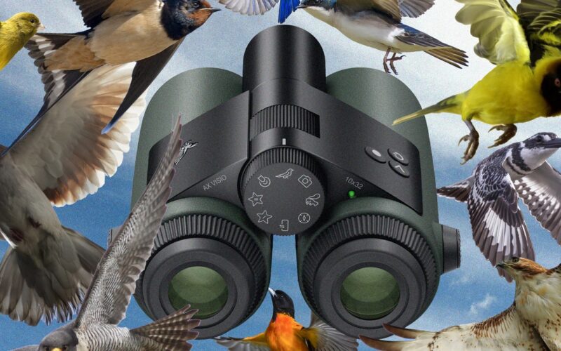 I Went Birding With the World’s First AI-Powered Binoculars