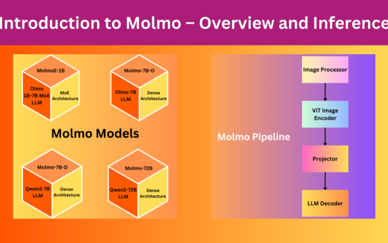 Introduction to Molmo – Overview and Inference