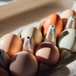 Organic eggs at 25 Costco stores were recalled for Salmonella risk