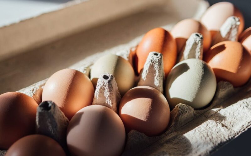 Organic eggs at 25 Costco stores were recalled for Salmonella risk