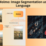 SAM2 and Molmo: Image Segmentation using Natural Language