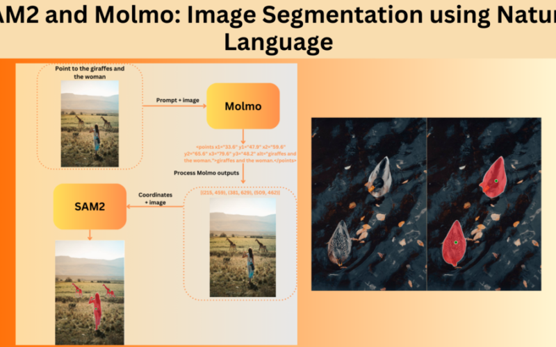 SAM2 and Molmo: Image Segmentation using Natural Language