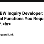 ** SAP BW Inquiry Developer: Essential Functions You Required to Know **.